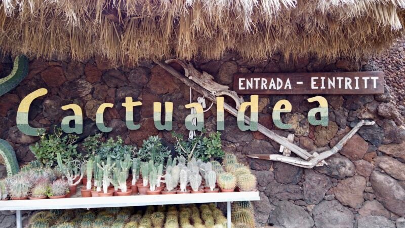 Kaktuksia ja muita nähtävyyksiä Gran Kanarialla.
