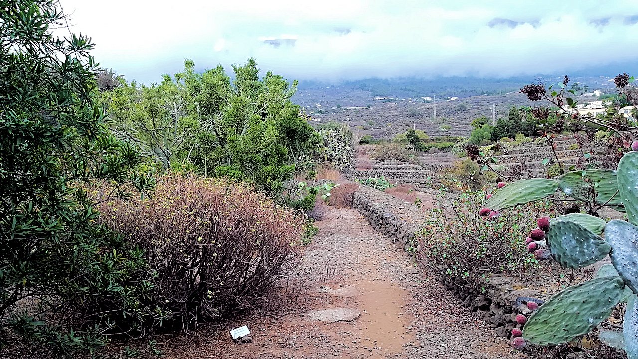 Teneriffa: Güímarin pyramidit