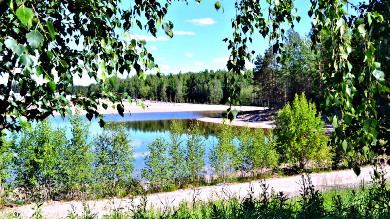 Juhannuskävelyllä Kuninkaantammessa