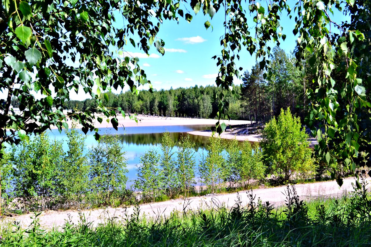 Juhannuskävelyllä Kuninkaantammessa