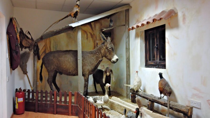 Larnakan luonnonhistoriallinen museo