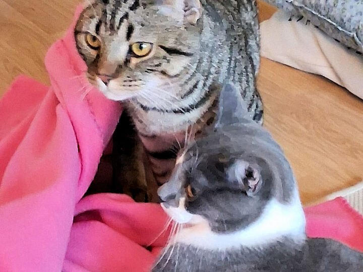 Hyvää Uutta Vuotta 2026!