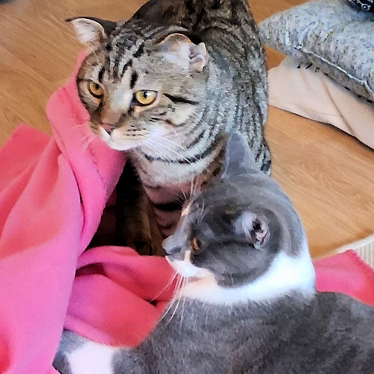 Hyvää Uutta Vuotta 2026!