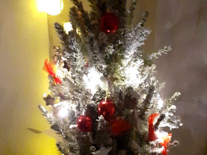 Hyvää Joulua 2025!