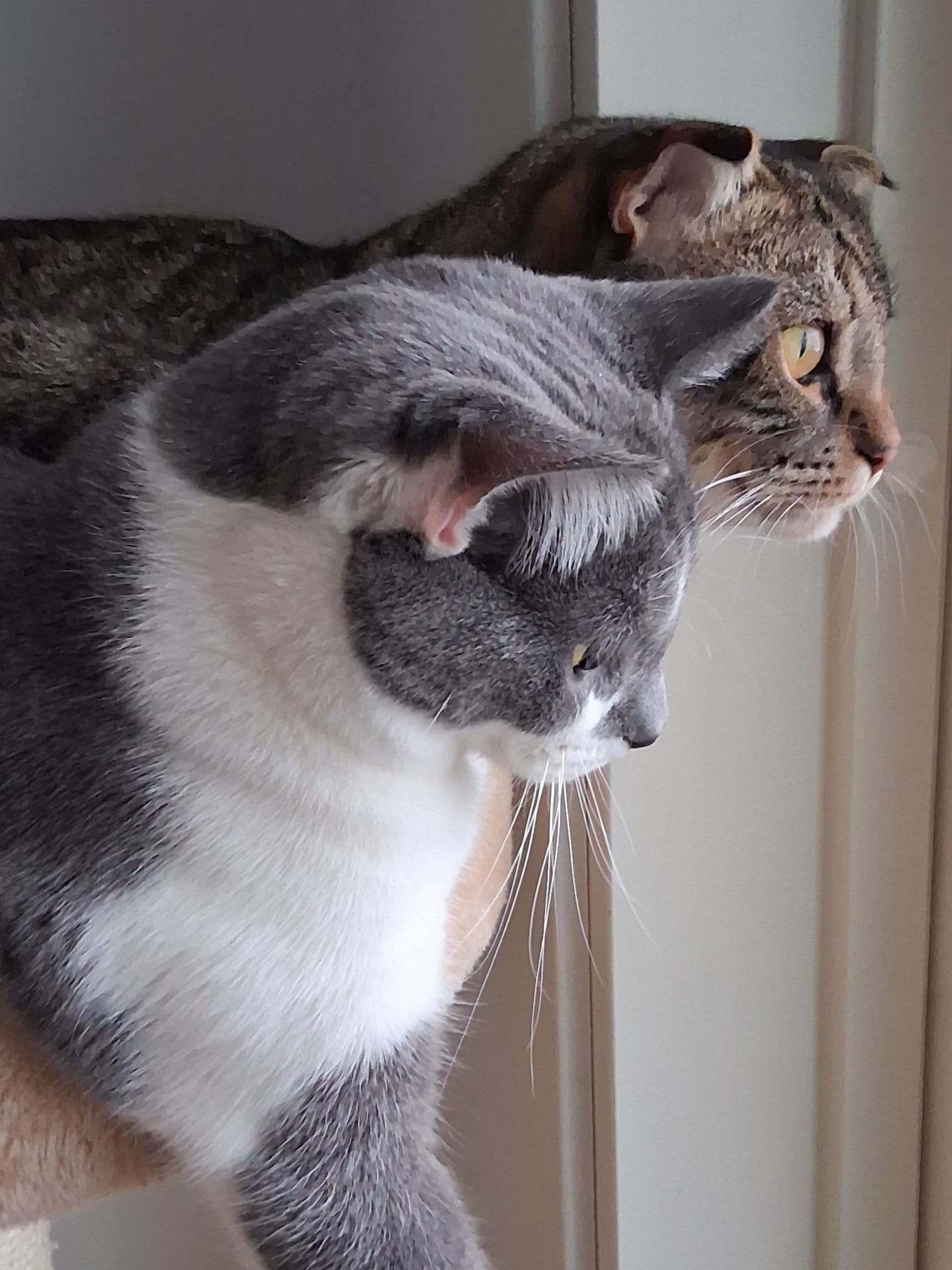 Hyvää Ystävänpäivää!