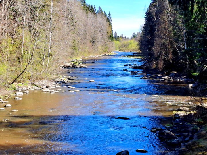 Kevätkävelyllä keskuspuistossa ja Palettilammella