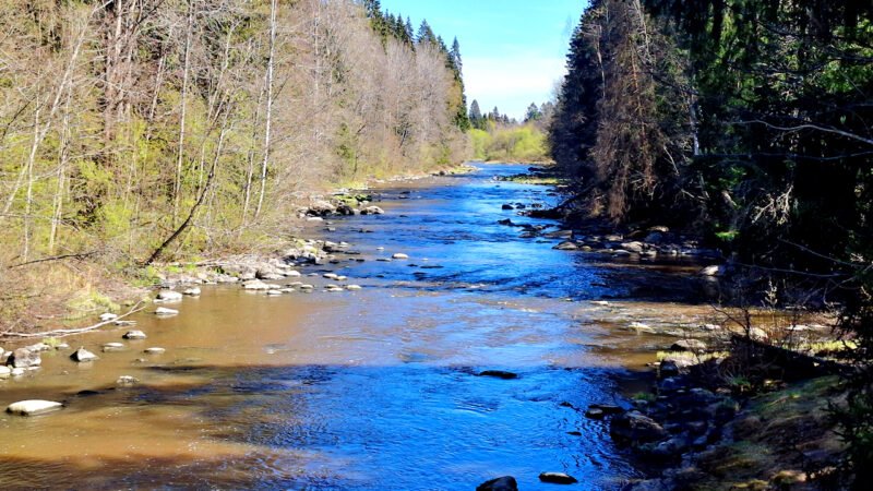 Kevätkävelyllä keskuspuistossa ja Palettilammella