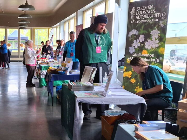 Kävin Maailma kylässä -festivaalissa