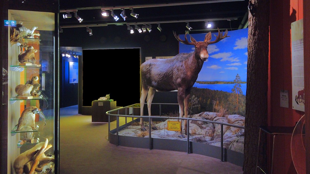 Luonnontieteellinen museo Tampereella