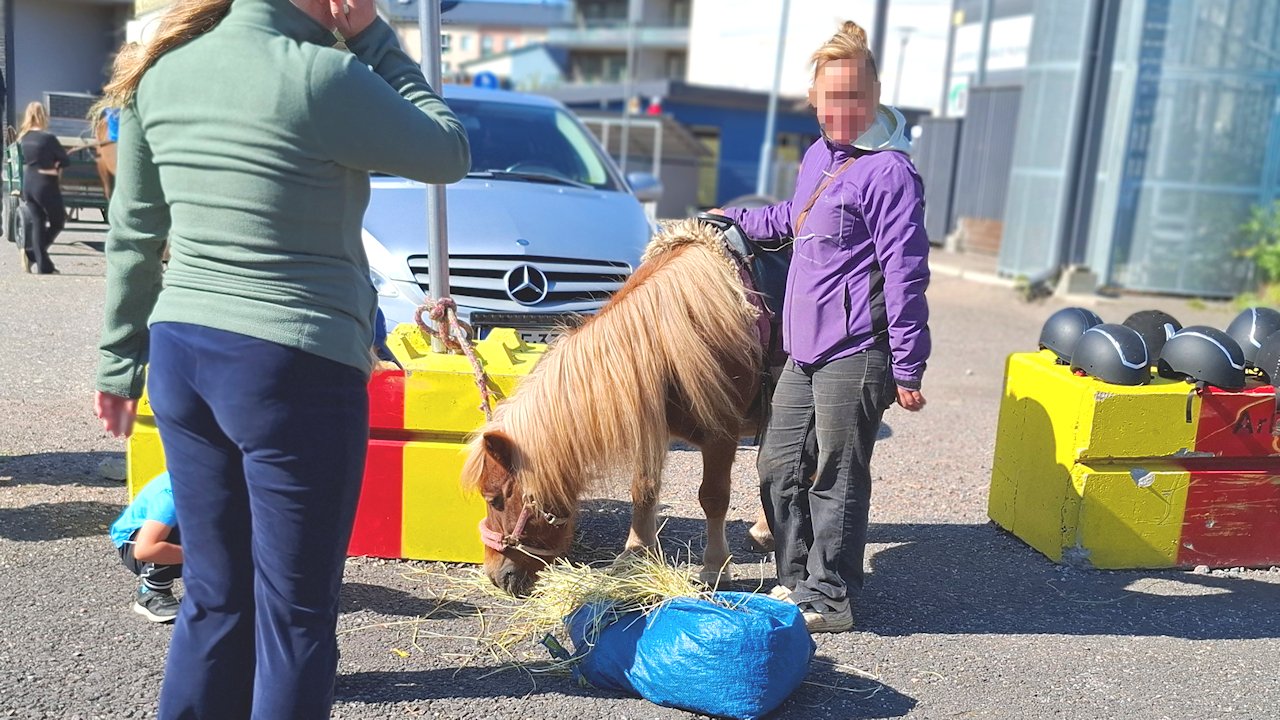 Ruokarekkaralli tarjosi myös poniratsastusta